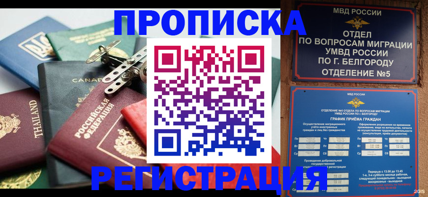 временная регистрация недорого в Майкопе